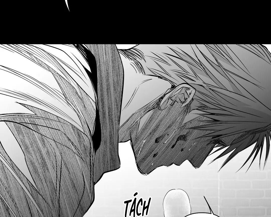 đọc truyện Khi Đôi Chân Thôi Bước Chương 60 ảnh 210 tại Thiên Thai Truyện