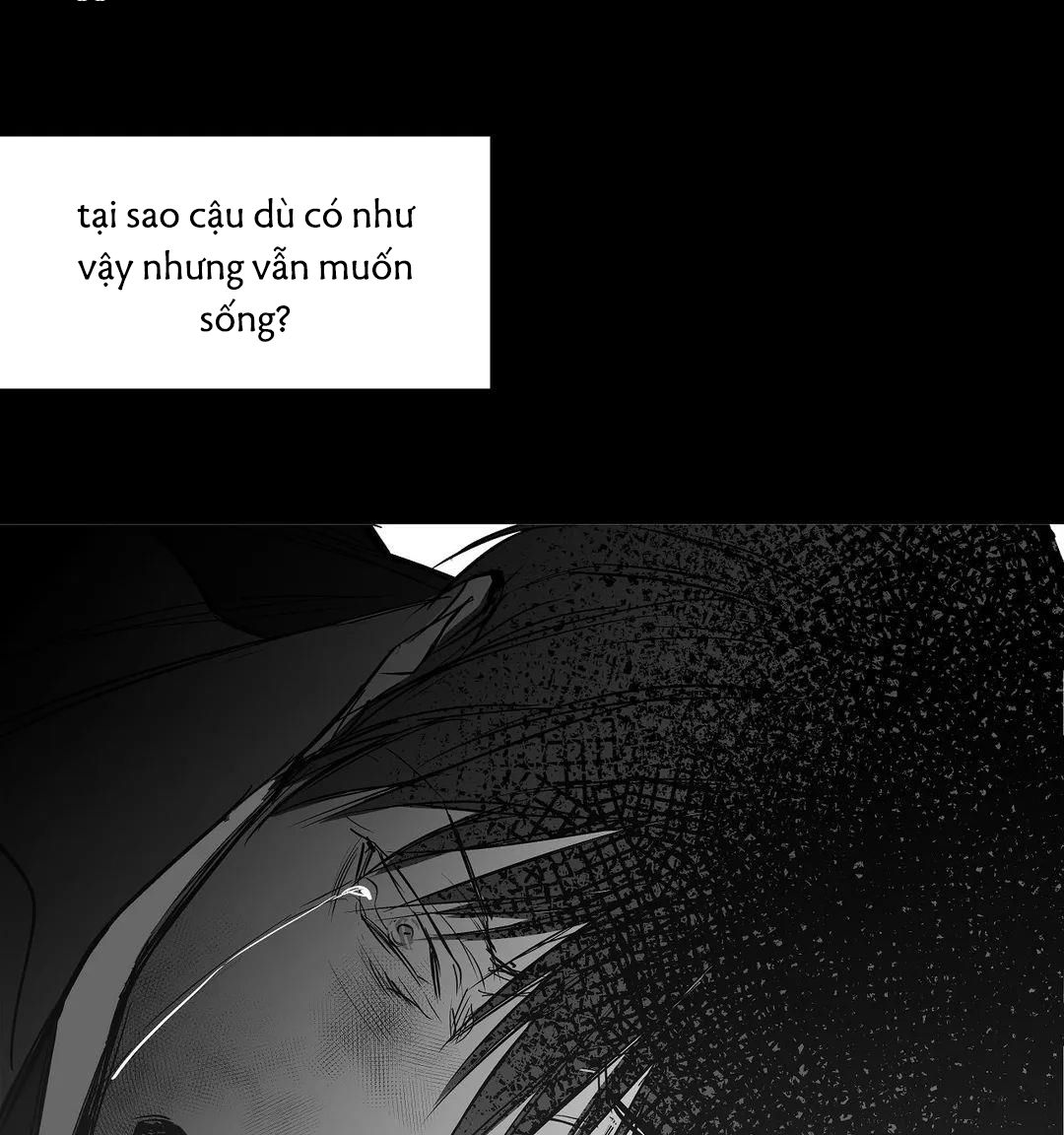 đọc truyện Khi Đôi Chân Thôi Bước Chương 61 ảnh 97 tại Thiên Thai Truyện