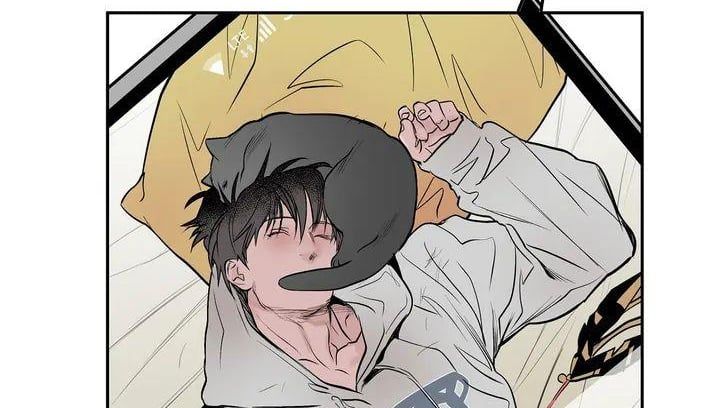 đọc truyện Khi Đôi Chân Thôi Bước Chương 63 ảnh 87 tại Thiên Thai Truyện