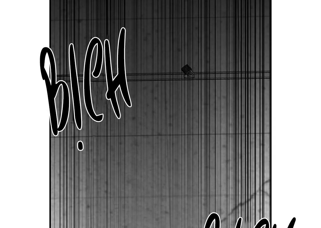 đọc truyện Khi Đôi Chân Thôi Bước Chương 64 ảnh 98 tại Thiên Thai Truyện