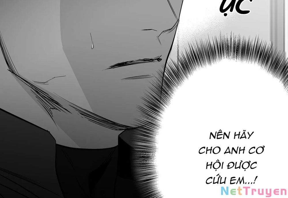 đọc truyện Khi Đôi Chân Thôi Bước Chương 66 ảnh 38 tại Thiên Thai Truyện