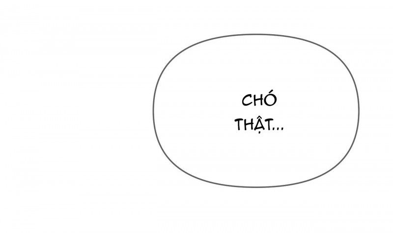 đọc truyện Khi Đôi Chân Thôi Bước Chương 71 ảnh 172 tại Thiên Thai Truyện