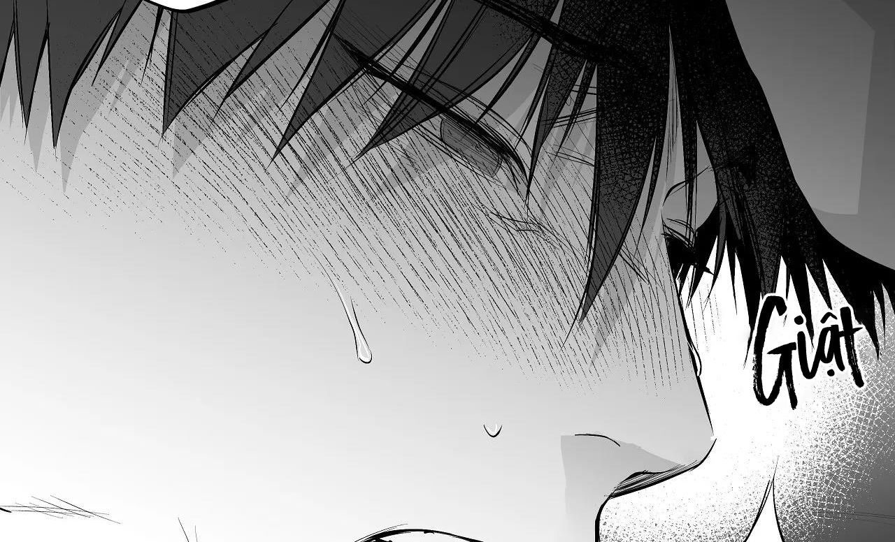 đọc truyện Khi Đôi Chân Thôi Bước Chương 72 ảnh 41 tại Thiên Thai Truyện