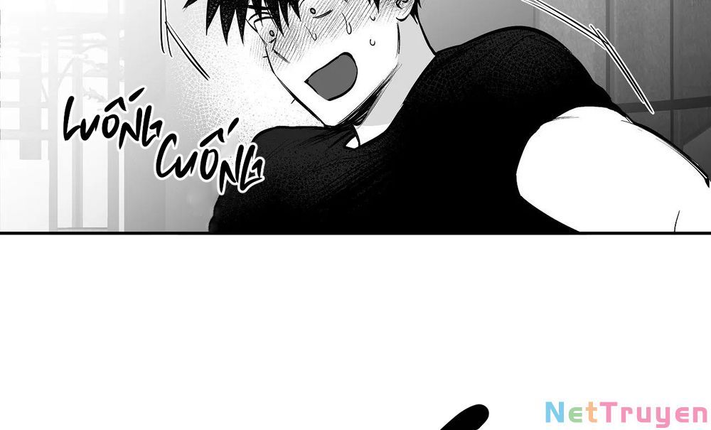 đọc truyện Khi Đôi Chân Thôi Bước Chương 74 ảnh 169 tại Thiên Thai Truyện