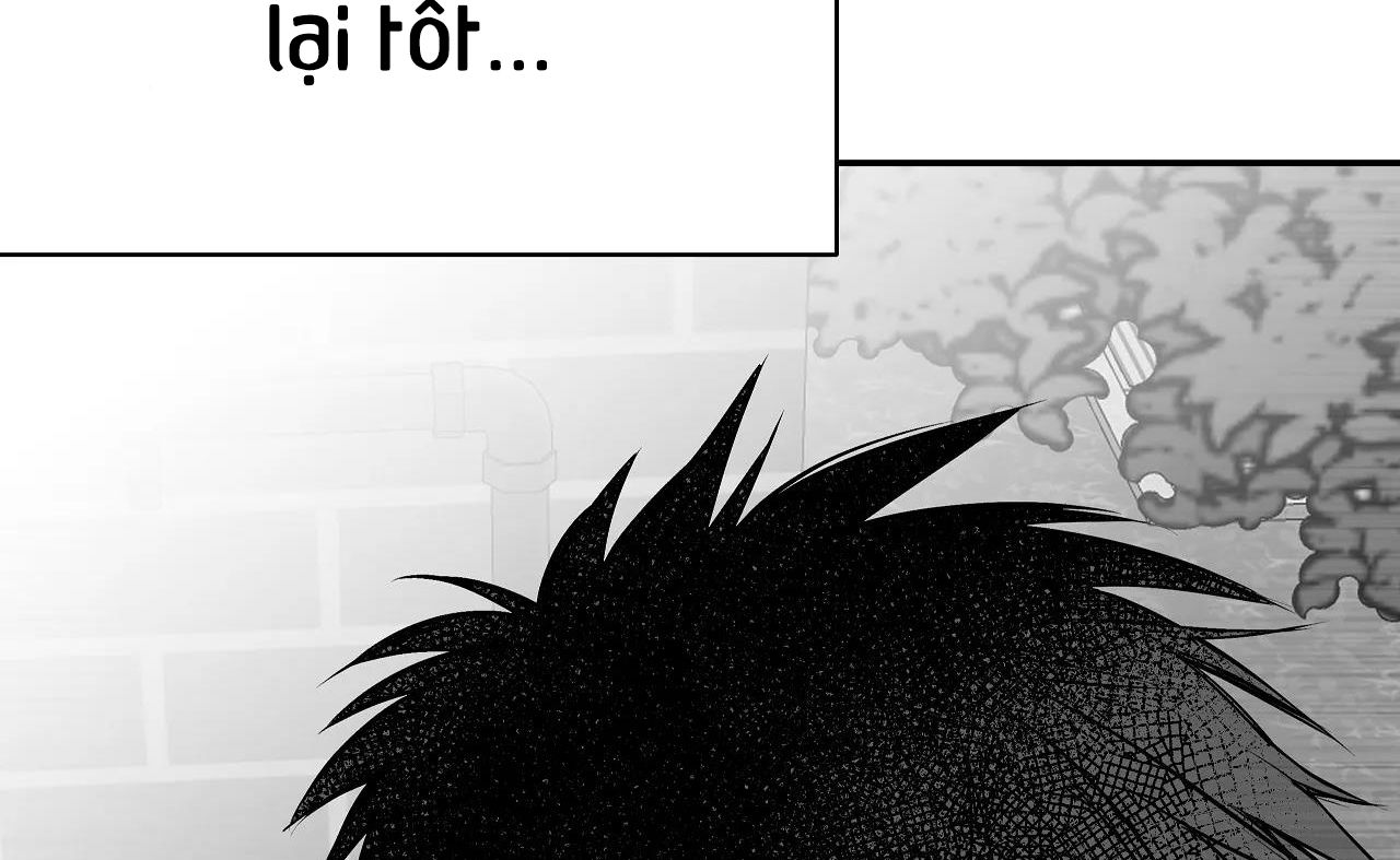 đọc truyện Khi Đôi Chân Thôi Bước Chương 76 ảnh 243 tại Thiên Thai Truyện