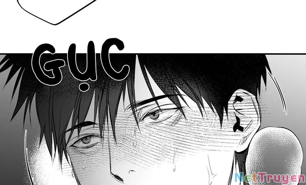 đọc truyện Khi Đôi Chân Thôi Bước Chương 77 ảnh 153 tại Thiên Thai Truyện