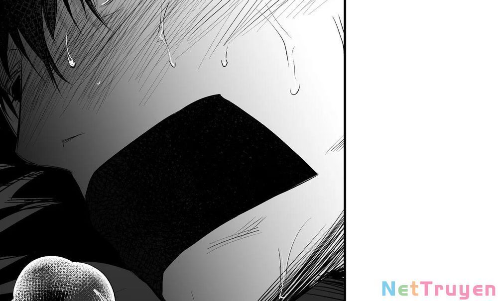 đọc truyện Khi Đôi Chân Thôi Bước Chương 77 ảnh 98 tại Thiên Thai Truyện