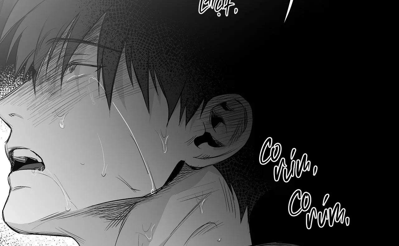 đọc truyện Khi Đôi Chân Thôi Bước Chương 79 ảnh 201 tại Thiên Thai Truyện