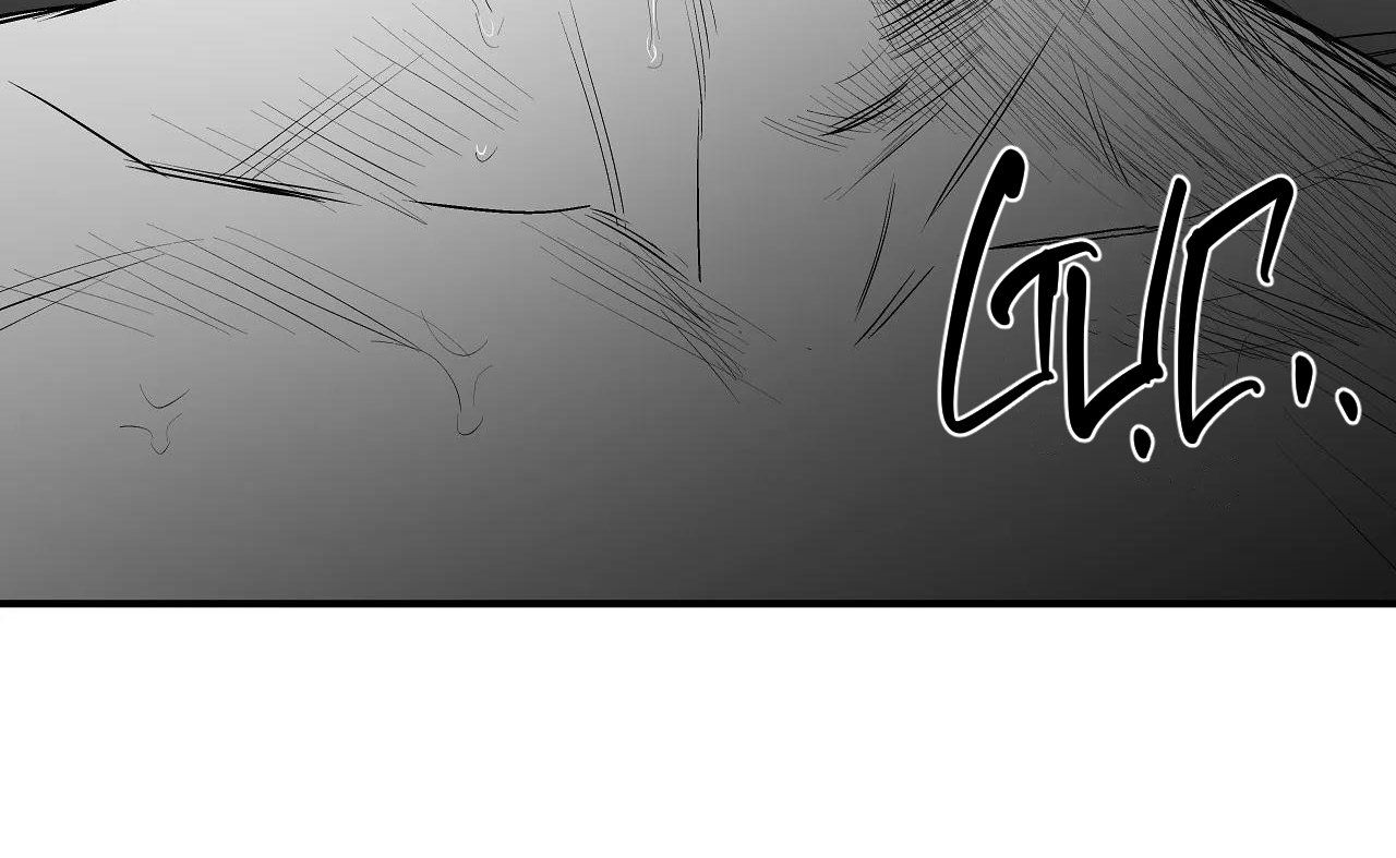 đọc truyện Khi Đôi Chân Thôi Bước Chương 79 ảnh 257 tại Thiên Thai Truyện