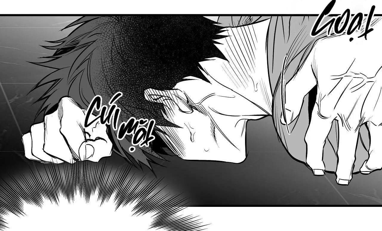 đọc truyện Khi Đôi Chân Thôi Bước Chương 80 ảnh 61 tại Thiên Thai Truyện