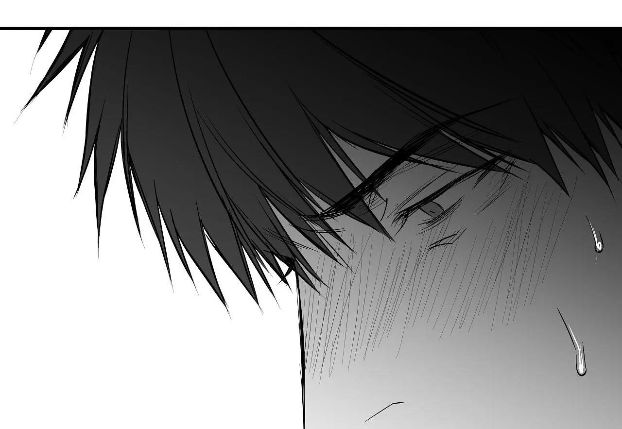 đọc truyện Khi Đôi Chân Thôi Bước Chương 86 ảnh 68 tại Thiên Thai Truyện