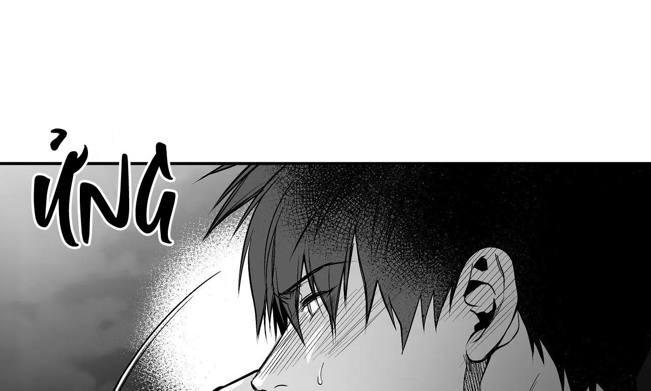 đọc truyện Khi Đôi Chân Thôi Bước Chương 87 ảnh 55 tại Thiên Thai Truyện