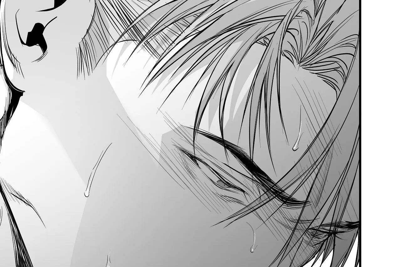 đọc truyện Khi Đôi Chân Thôi Bước Chương 88 ảnh 141 tại Thiên Thai Truyện