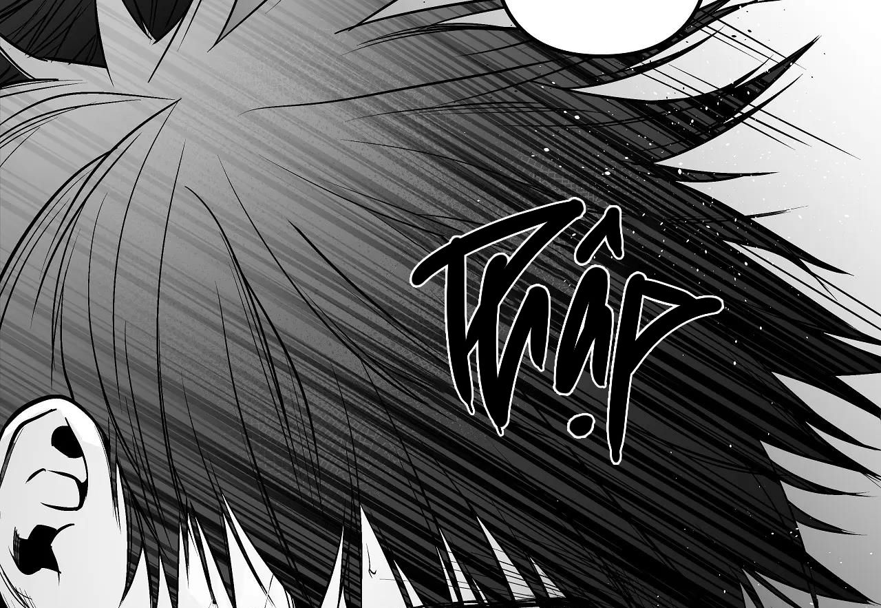 đọc truyện Khi Đôi Chân Thôi Bước Chương 88 ảnh 214 tại Thiên Thai Truyện