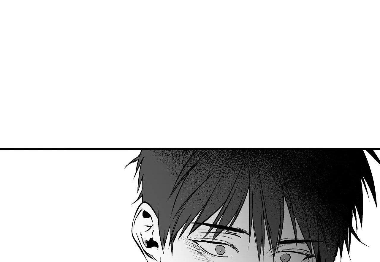 đọc truyện Khi Đôi Chân Thôi Bước Chương 88 ảnh 261 tại Thiên Thai Truyện