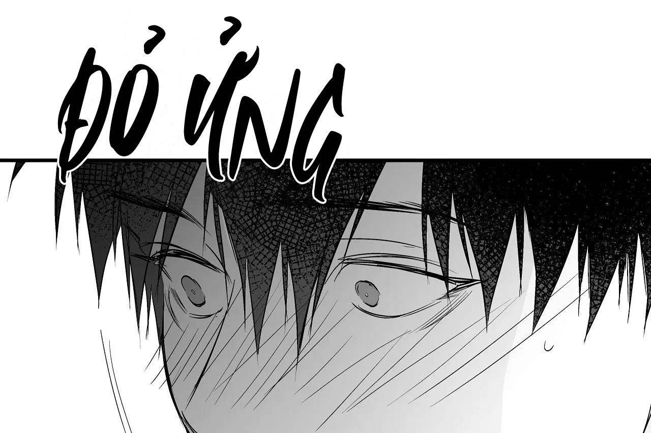 đọc truyện Khi Đôi Chân Thôi Bước Chương 89 ảnh 176 tại Thiên Thai Truyện