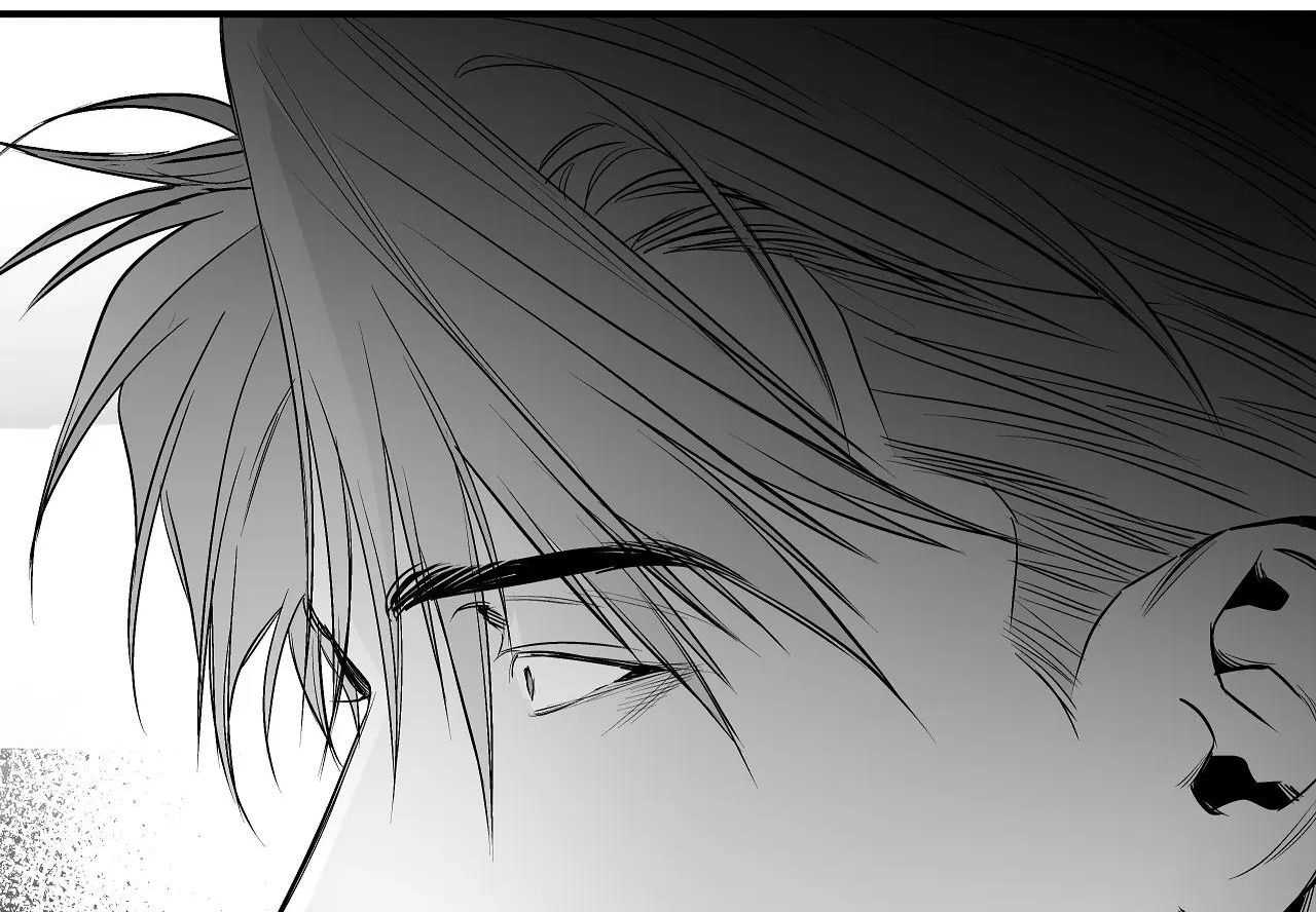 đọc truyện Khi Đôi Chân Thôi Bước Chương 89 ảnh 246 tại Thiên Thai Truyện