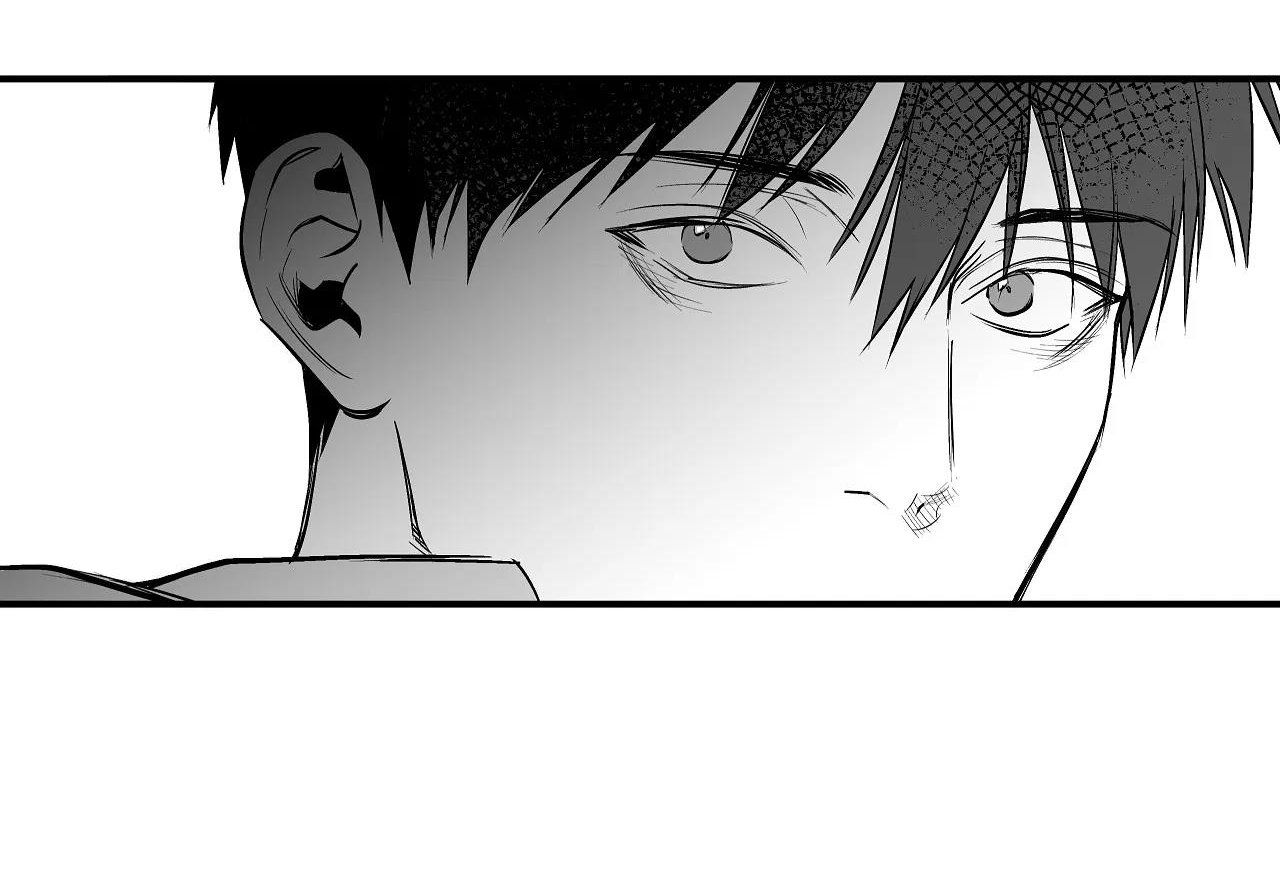 đọc truyện Khi Đôi Chân Thôi Bước Chương 89 ảnh 257 tại Thiên Thai Truyện