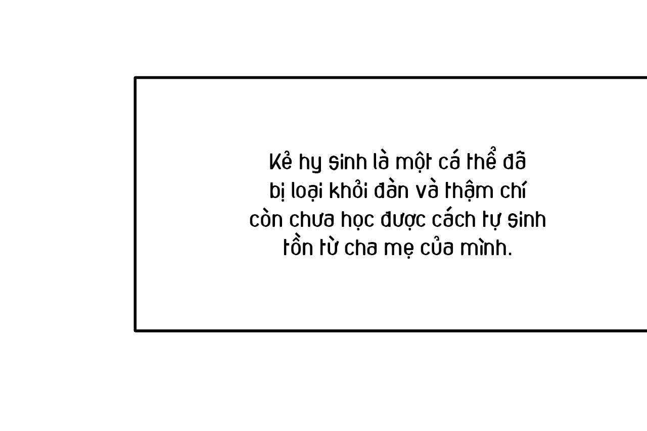 đọc truyện Khi Đôi Chân Thôi Bước Chương 89 ảnh 68 tại Thiên Thai Truyện