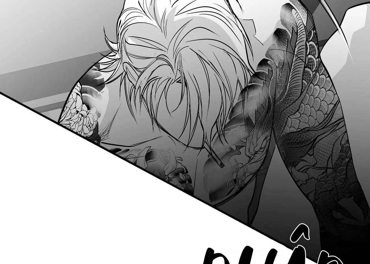 đọc truyện Khi Đôi Chân Thôi Bước Chương 91 ảnh 177 tại Thiên Thai Truyện