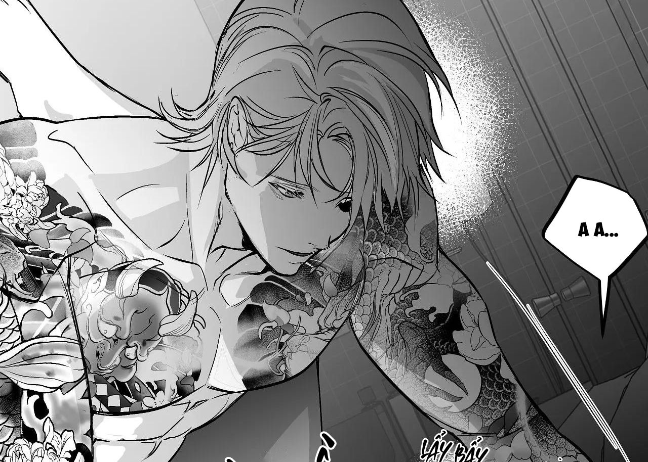 đọc truyện Khi Đôi Chân Thôi Bước Chương 91 ảnh 206 tại Thiên Thai Truyện