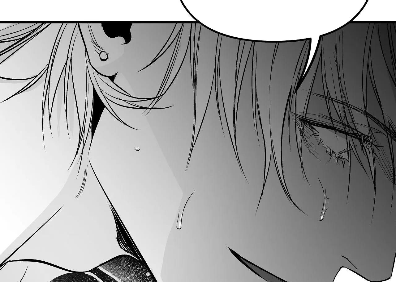 đọc truyện Khi Đôi Chân Thôi Bước Chương 91 ảnh 212 tại Thiên Thai Truyện