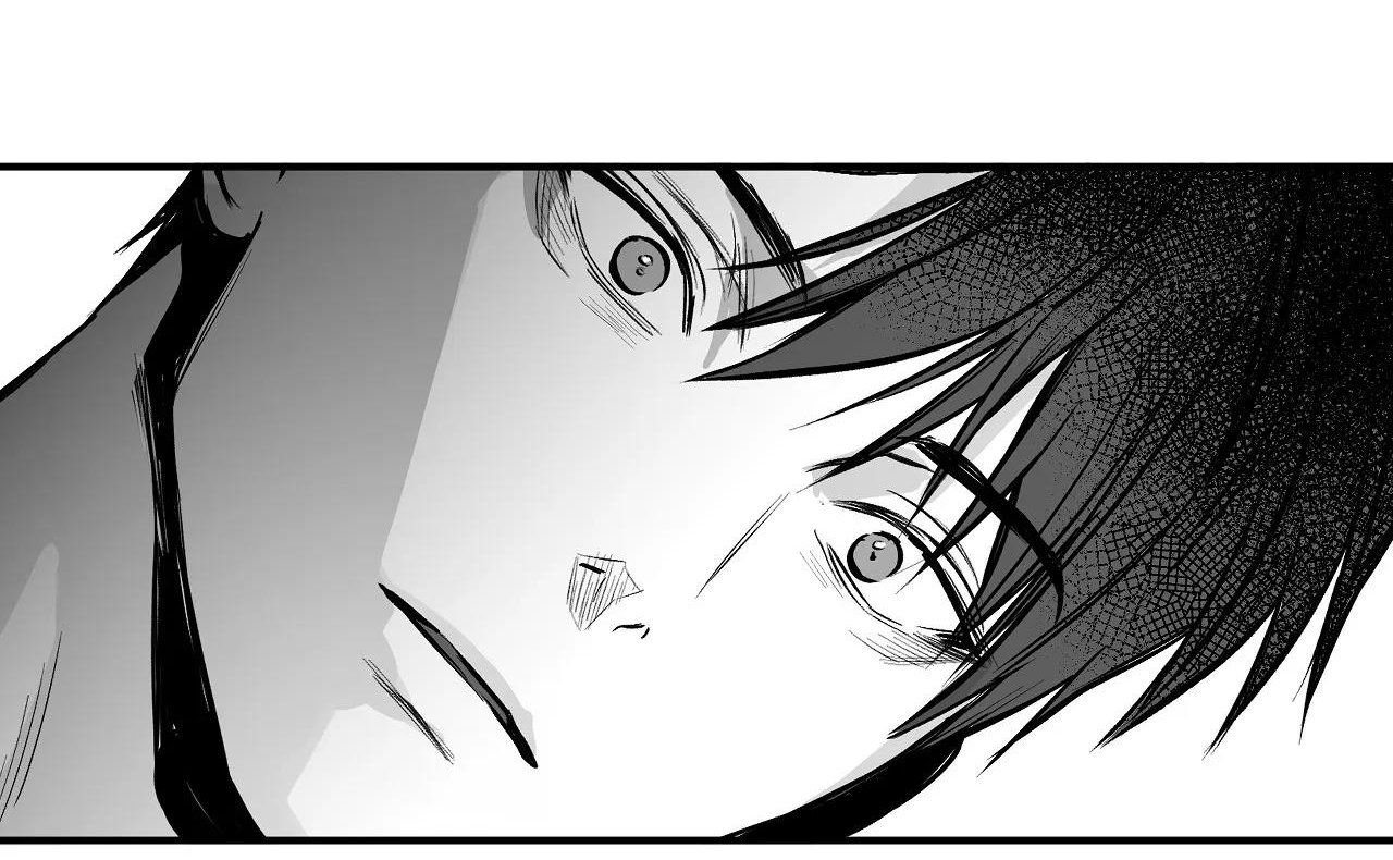 đọc truyện Khi Đôi Chân Thôi Bước Chương 93 ảnh 211 tại Thiên Thai Truyện