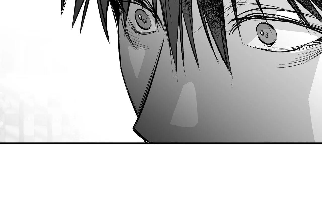 đọc truyện Khi Đôi Chân Thôi Bước Chương 95 ảnh 239 tại Thiên Thai Truyện