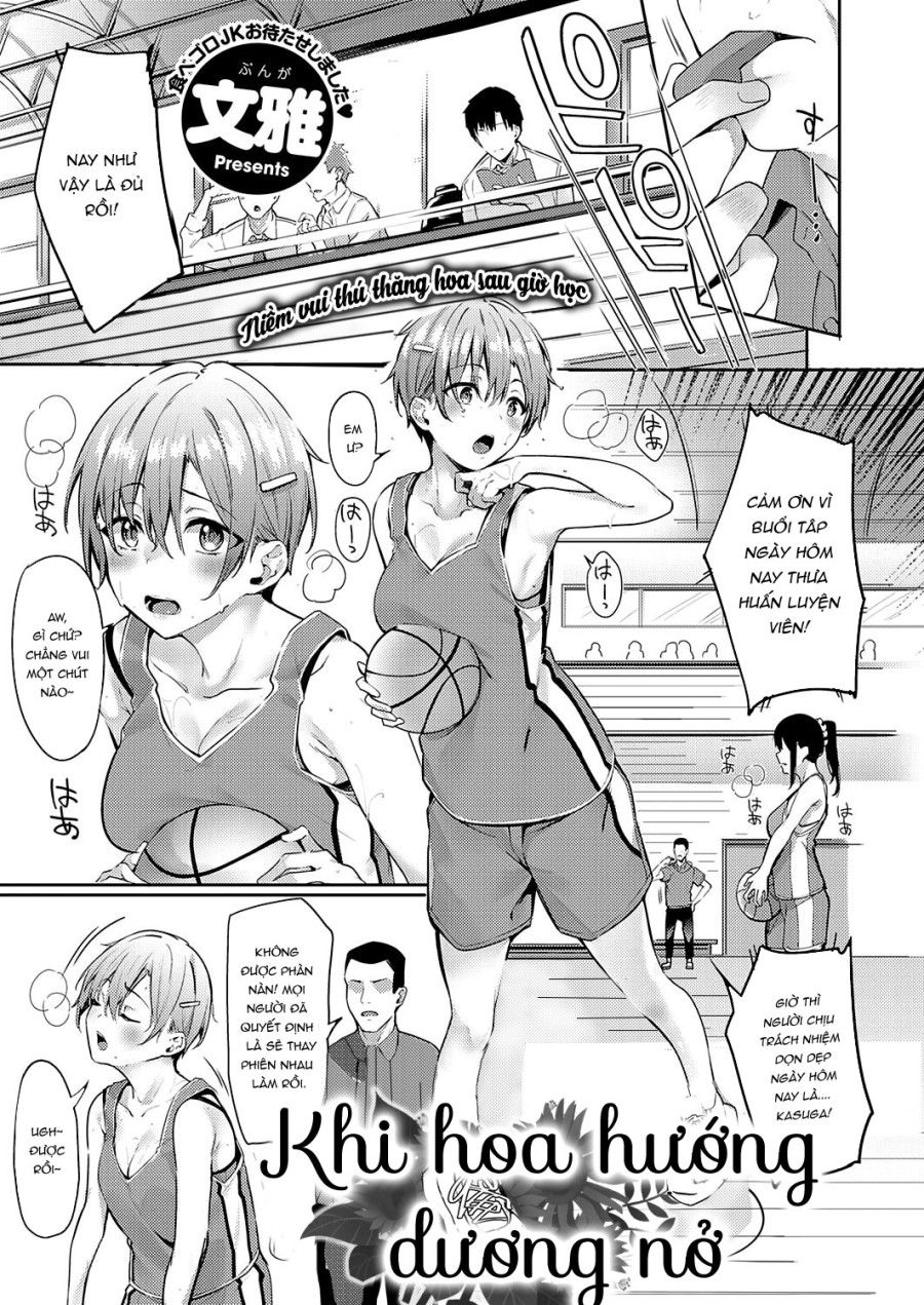 Khi Hoa Hướng Dương Nở Oneshot page 3 - Giả Dược