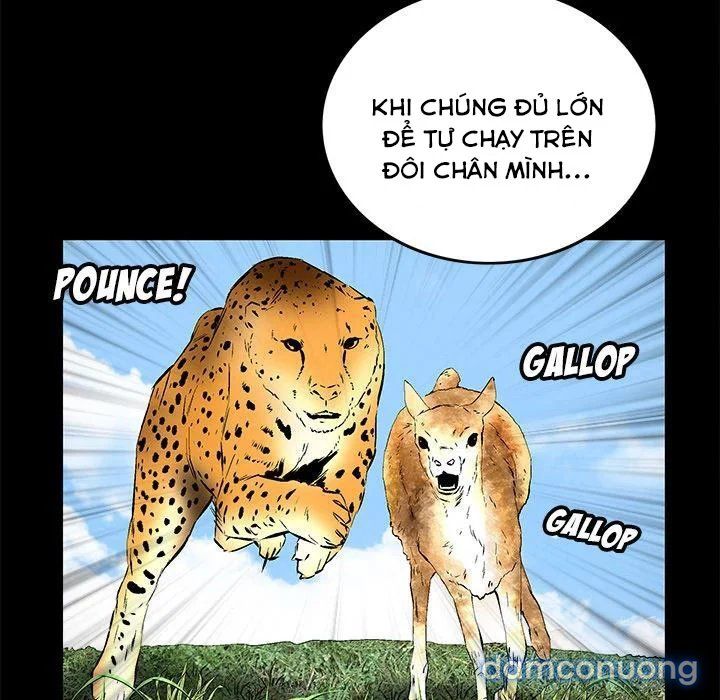 Khổ Dâm Chương 17 page 73 - Giả Dược