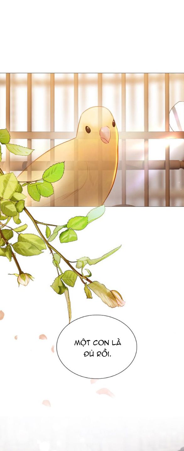 đọc truyện Khóc Đi Hay Là Cầu Xin Tôi Cũng Được Chương 43 ảnh 91 tại Giả Dược