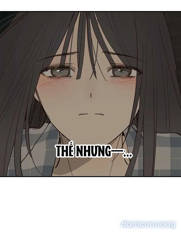 đọc truyện [không Che] [18+] Đóa Hoa Là Mồi Nhử Chương 51 ảnh 48 tại Thiên Thai Truyện