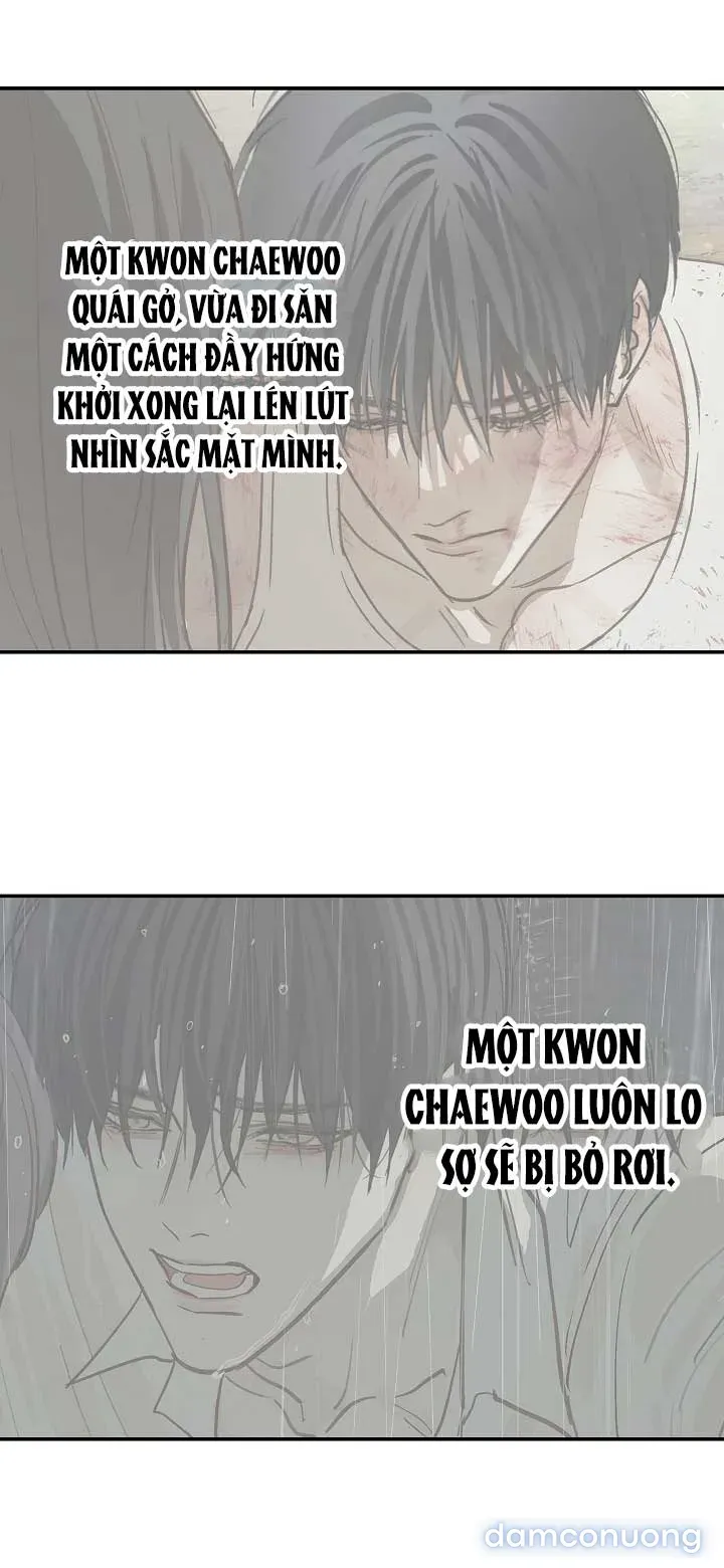 đọc truyện [không Che] [18+] Đóa Hoa Là Mồi Nhử Chương 51 ảnh 50 tại Thiên Thai Truyện