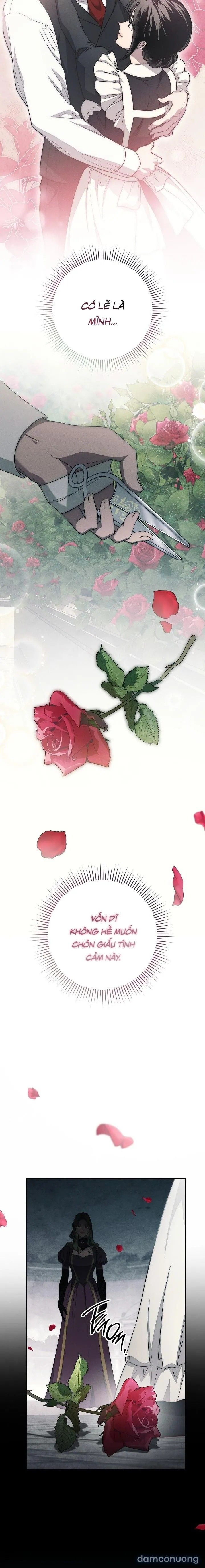 đọc truyện [không Che] [18+] Mộ Thiên Nga Chương 22 ảnh 29 tại Thiên Thai Truyện