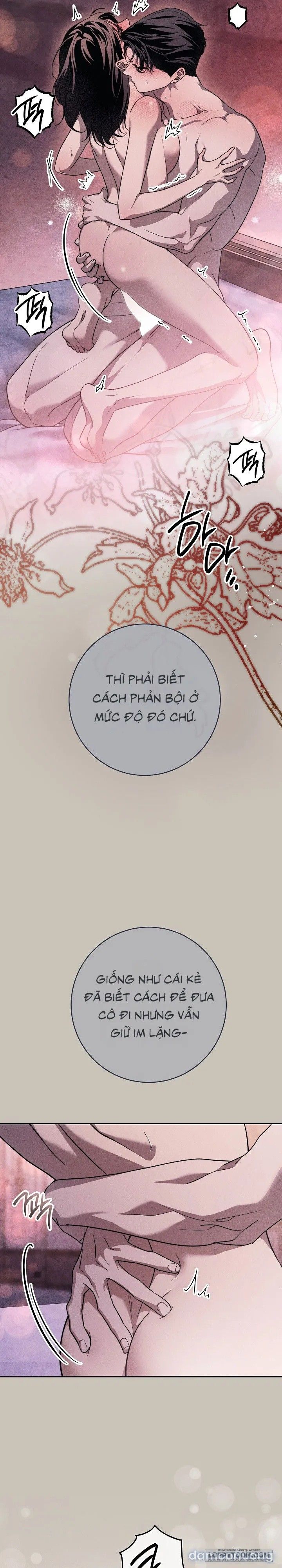 đọc truyện [không Che] [18+] Mộ Thiên Nga Chương 43 ảnh 9 tại Thiên Thai Truyện