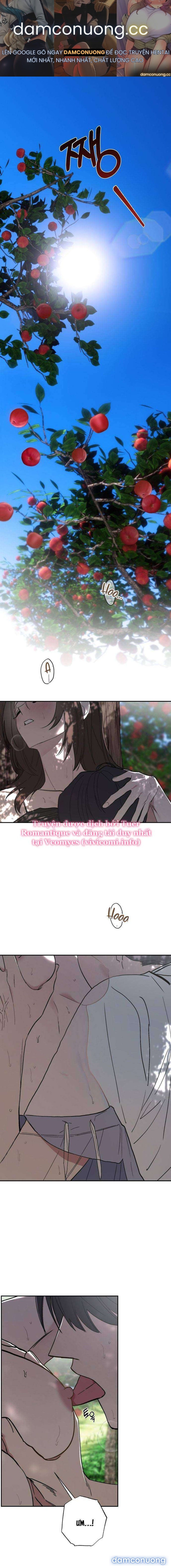 đọc truyện [không Che] Ẩn Tình Nơi Vườn Cây Ăn Quả Chương 1 ảnh 2 tại Thiên Thai Truyện