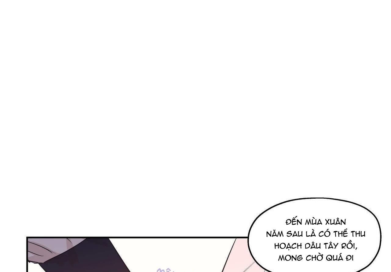 đọc truyện Không Chốn Yêu Đương Chương 81 ảnh 98 tại Giả Dược