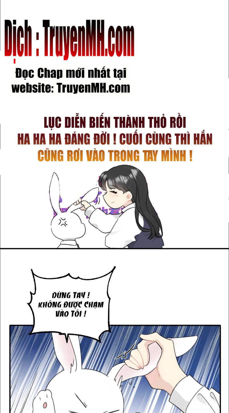 đọc truyện Không Nên Tùy Tiện Đối Nghịch Với Thủ Trưởng Chương 3 ảnh 11 tại Thiên Thai Truyện