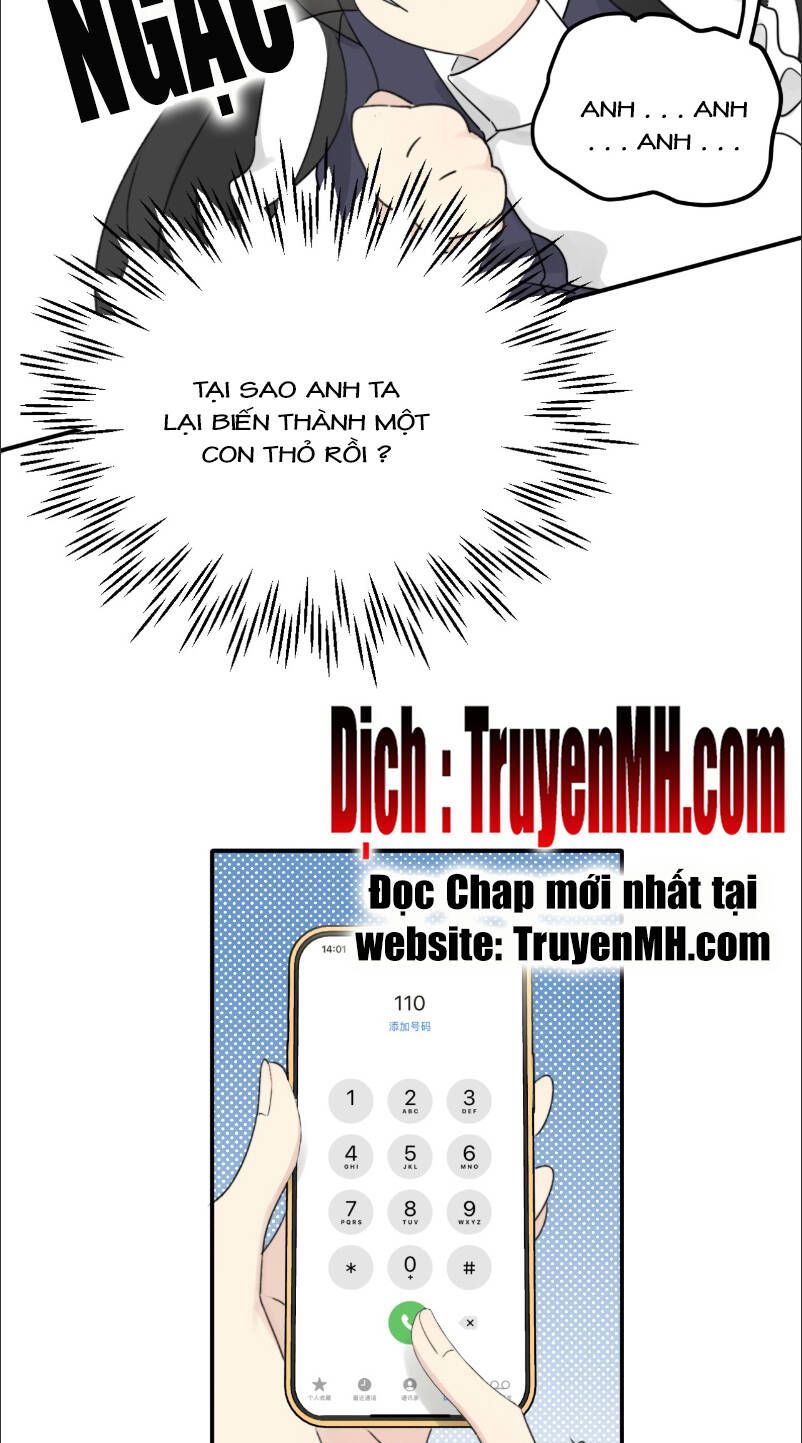 đọc truyện Không Nên Tùy Tiện Đối Nghịch Với Thủ Trưởng Chương 3 ảnh 5 tại Thiên Thai Truyện