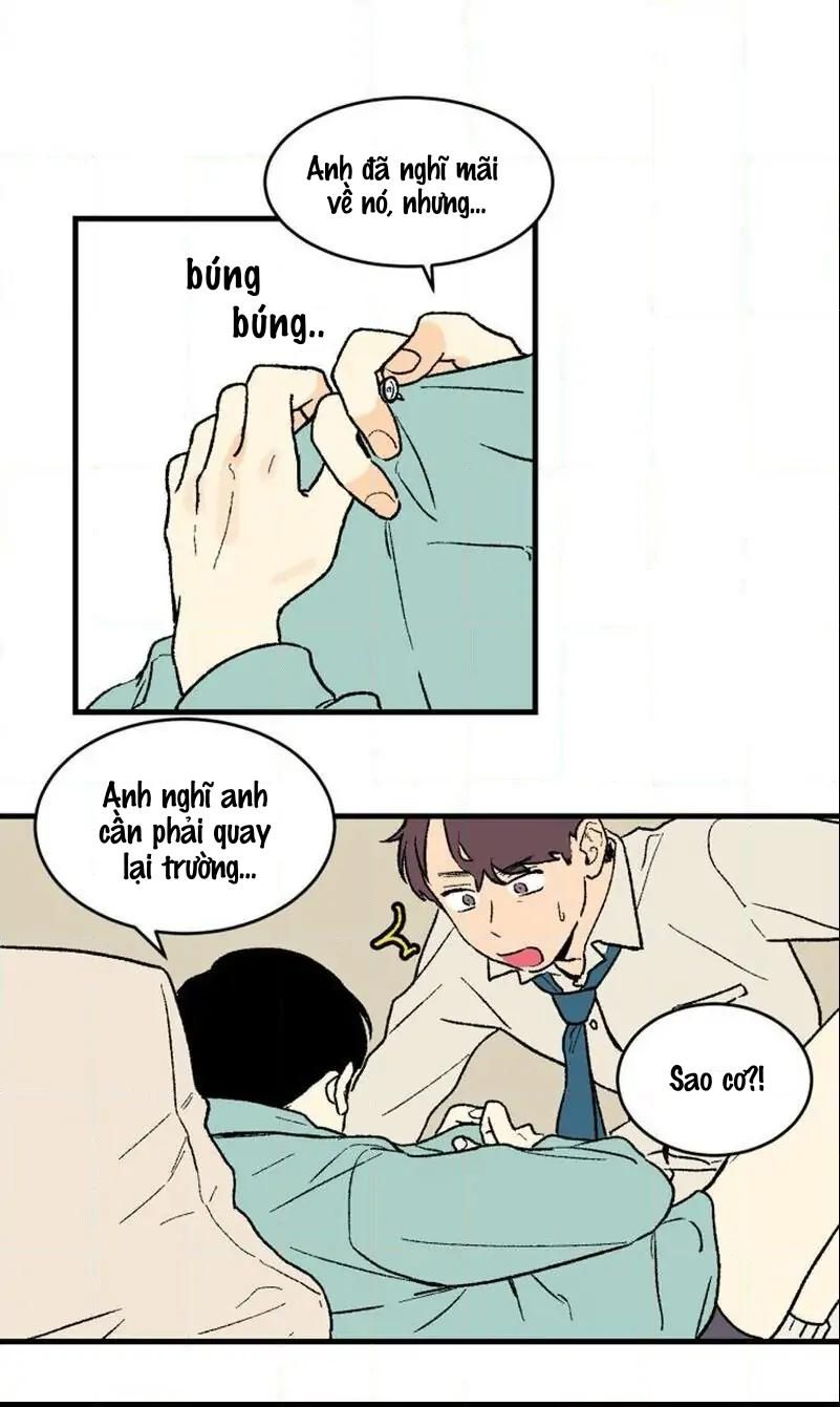 đọc truyện Không Phải Sugar Daddy Chương 2 ảnh 12 tại Thiên Thai Truyện