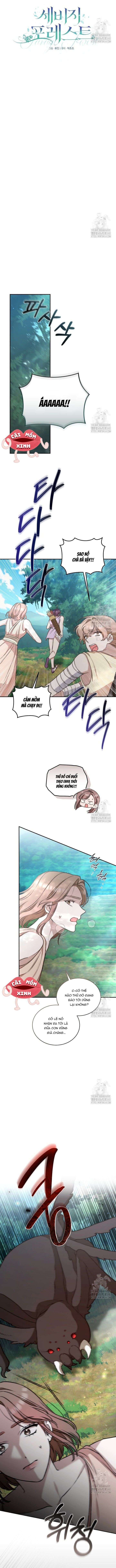 đọc truyện Khu Rừng Hoang Dã Chương 39 ảnh 4 tại Thiên Thai Truyện