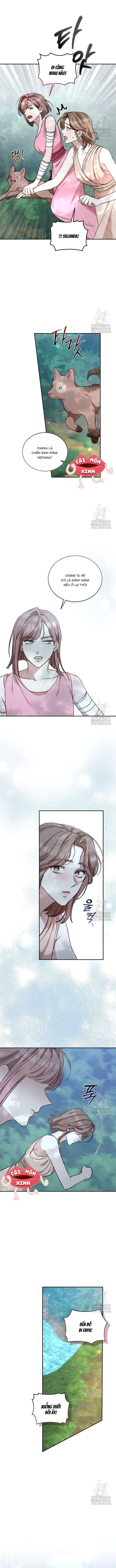 đọc truyện Khu Rừng Hoang Dã Chương 39 ảnh 7 tại Thiên Thai Truyện