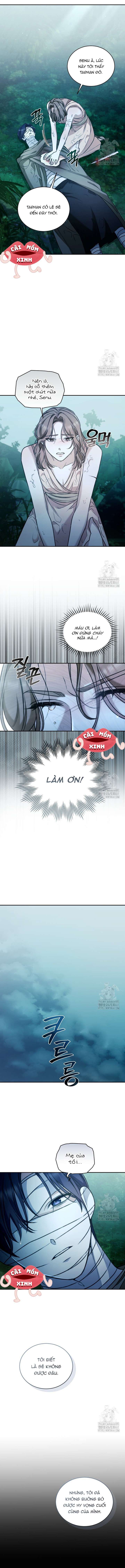 đọc truyện Khu Rừng Hoang Dã Chương 44 ảnh 12 tại Thiên Thai Truyện