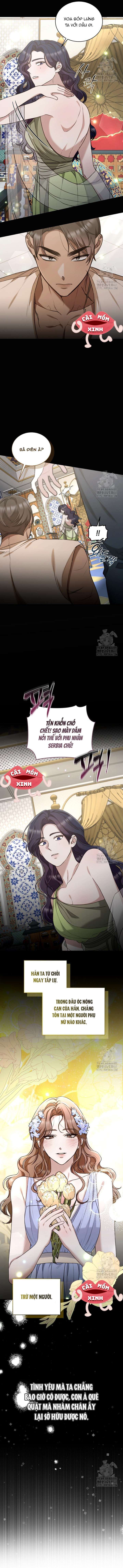 đọc truyện Khu Rừng Hoang Dã Chương 44 ảnh 5 tại Thiên Thai Truyện