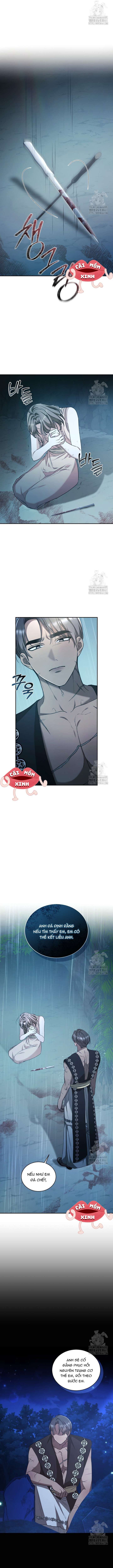 đọc truyện Khu Rừng Hoang Dã Chương 45 ảnh 15 tại Thiên Thai Truyện