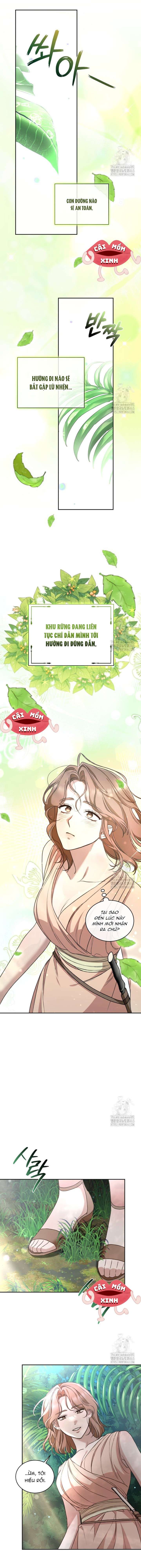 đọc truyện Khu Rừng Hoang Dã Chương 47 ảnh 3 tại Thiên Thai Truyện