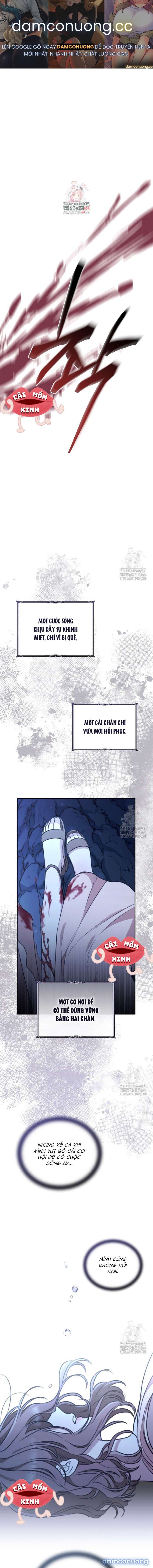 đọc truyện Khu Rừng Hoang Dã Chương 49 ảnh 2 tại Thiên Thai Truyện