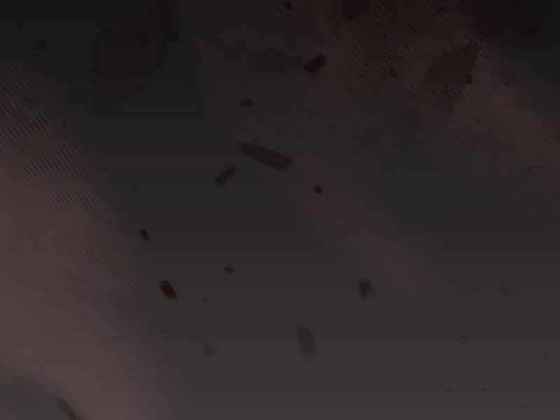 đọc truyện Kiếm Sĩ Thiên Tài Của Học Viện Chương 33 ảnh 218 tại Thiên Thai Truyện