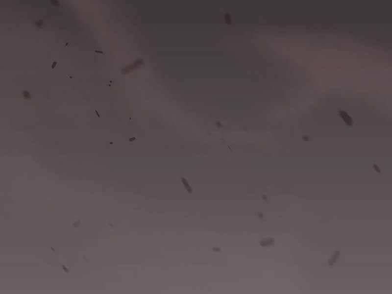 đọc truyện Kiếm Sĩ Thiên Tài Của Học Viện Chương 33 ảnh 219 tại Thiên Thai Truyện