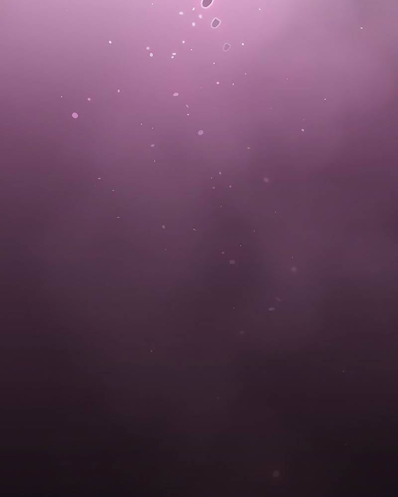 đọc truyện Kiếm Sĩ Thiên Tài Của Học Viện Chương 57 ảnh 99 tại Thiên Thai Truyện